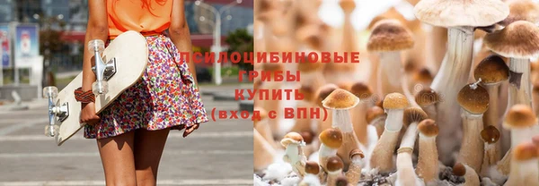 Альфа ПВП Алексеевка