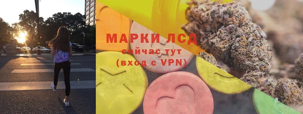 гашик Алзамай