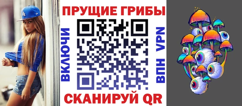 закладки  Сясьстрой  Галлюциногенные грибы Psilocybe 